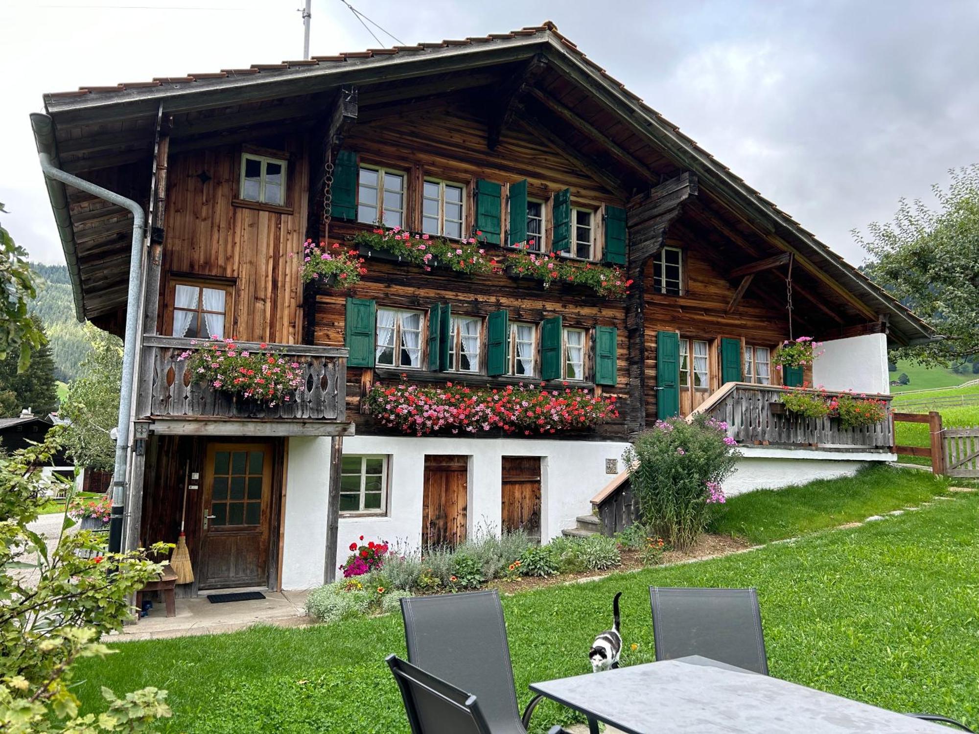 Alpenchalet Haldeli Gstaad Ferienwohnung Im 1-Stock Exterior foto